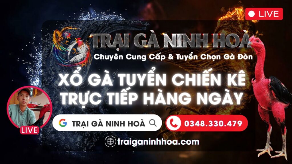 Video 18h45 ngày 15/10 – Trại Gà Ninh Hoà