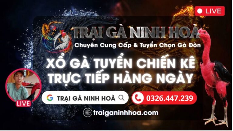 Video 19h00 ngày 3/6 – Trại Gà Ninh Hoà